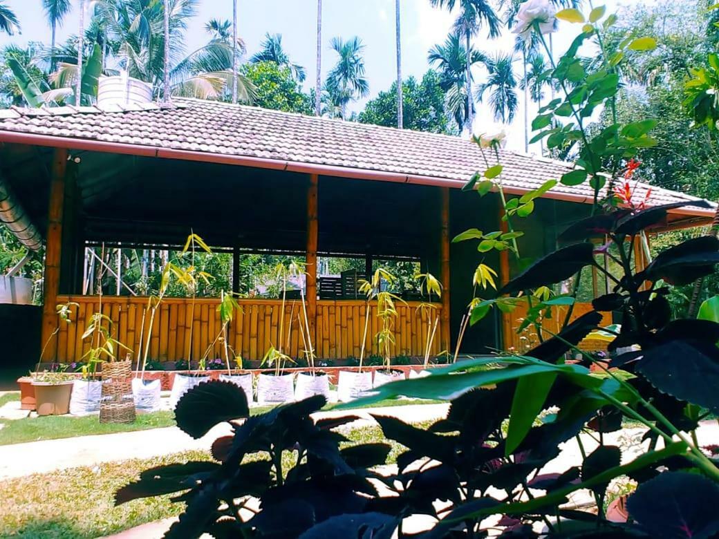 Misty Mornings Resort Ambalavayal Exterior foto