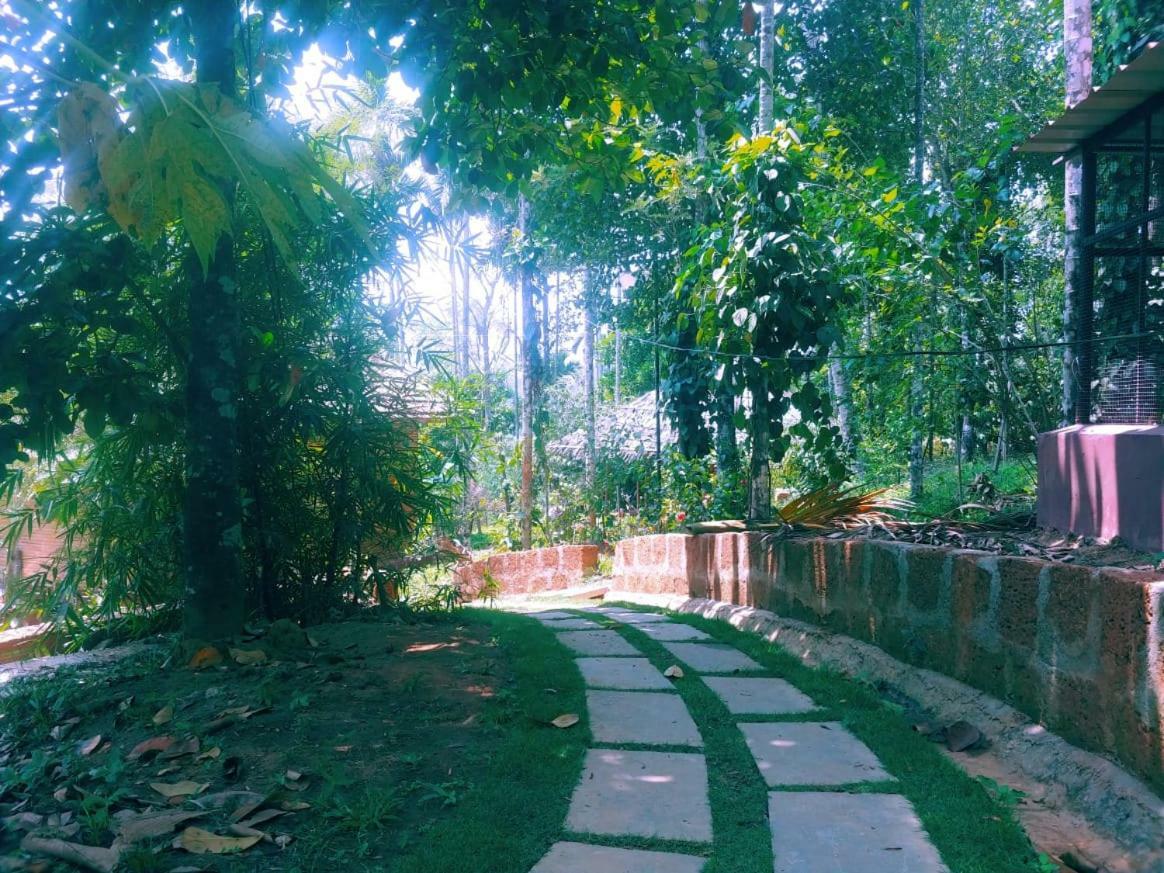 Misty Mornings Resort Ambalavayal Exterior foto
