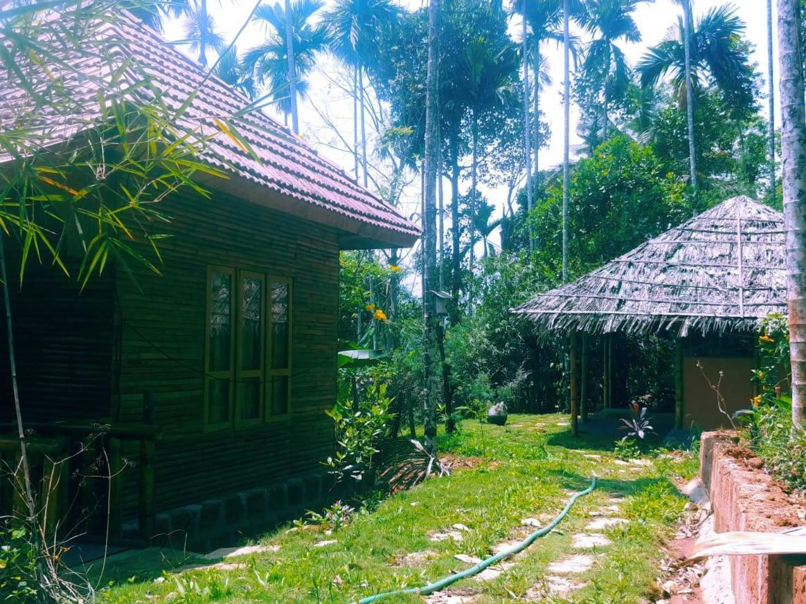Misty Mornings Resort Ambalavayal Exterior foto