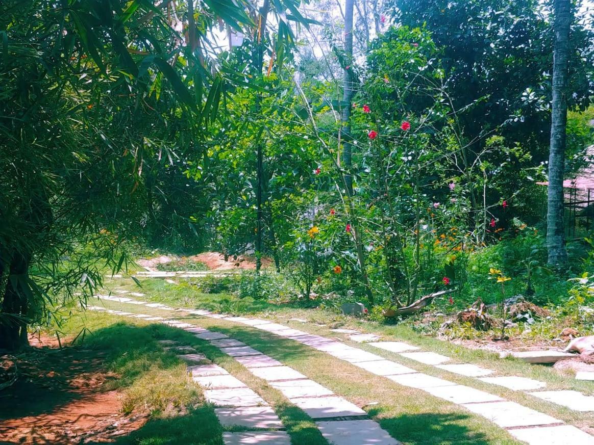 Misty Mornings Resort Ambalavayal Exterior foto